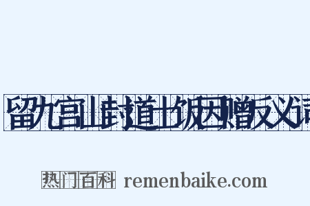 留九宫山封道士饭因赠反义词是什么意思的图片